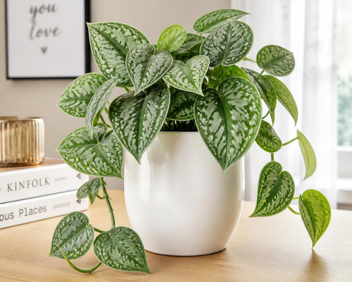 SBL - Money Plant Silver